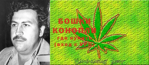 mix Новозыбков