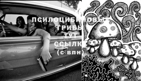 бошки Горно-Алтайск