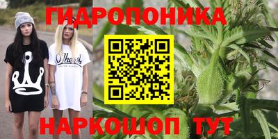 apvp Апшеронск