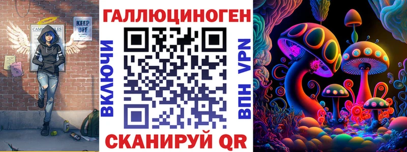 купить наркоту  Кандалакша  Псилоцибиновые грибы Psilocybine cubensis 