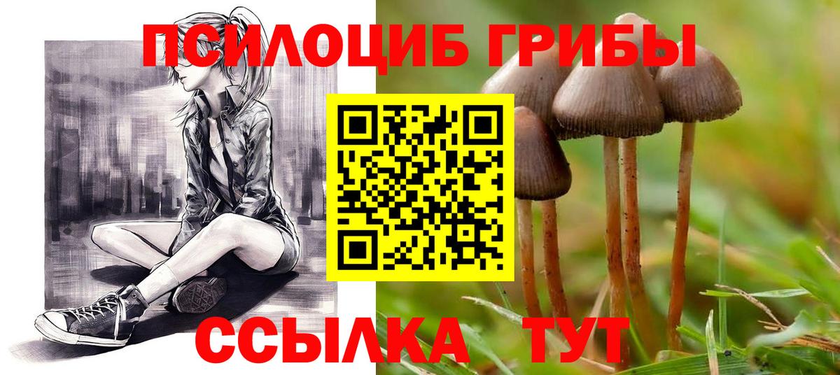 Галлюциногенные грибы мицелий  Вход с VPN  Кандалакша 