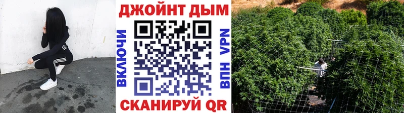 наркотики  Кандалакша  Конопля SATIVA & INDICA 